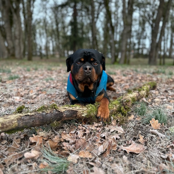 Morgan is LIVE! 🥳🤩😎 - Picture 10 of 11